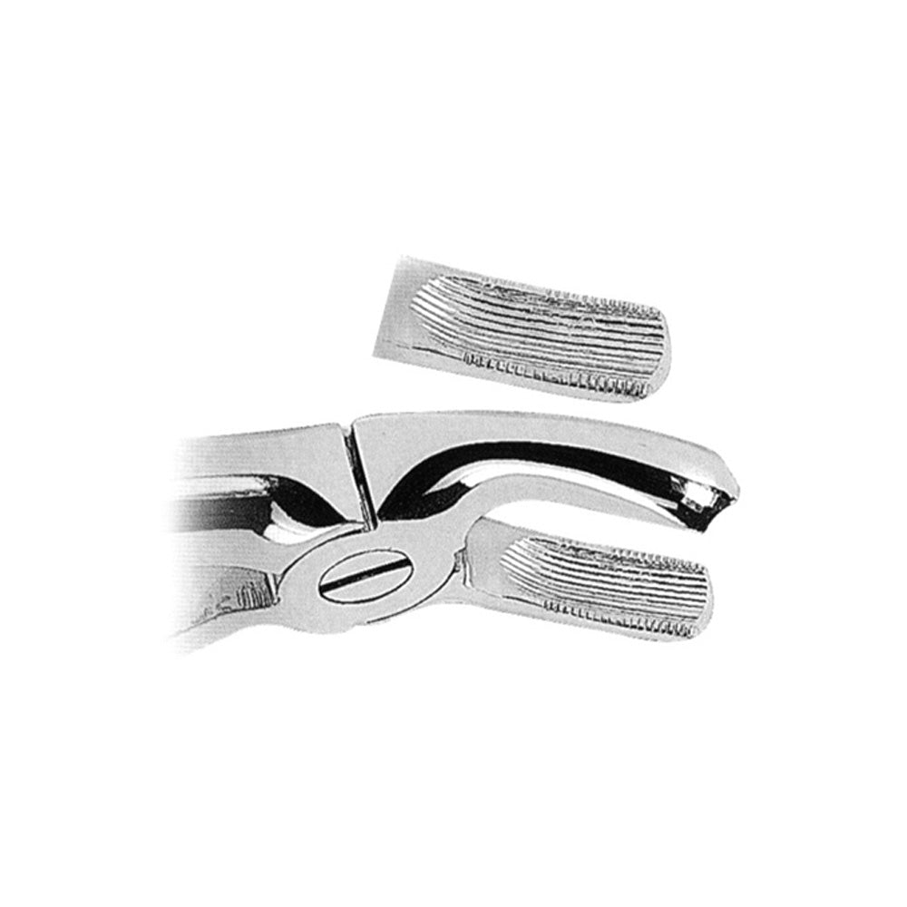 Extracting Forceps Upper Molars, Right With Serrated Tips