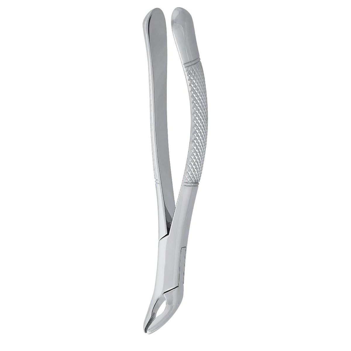 Premolar Forceps with 125mm Dental Extraction Pattern