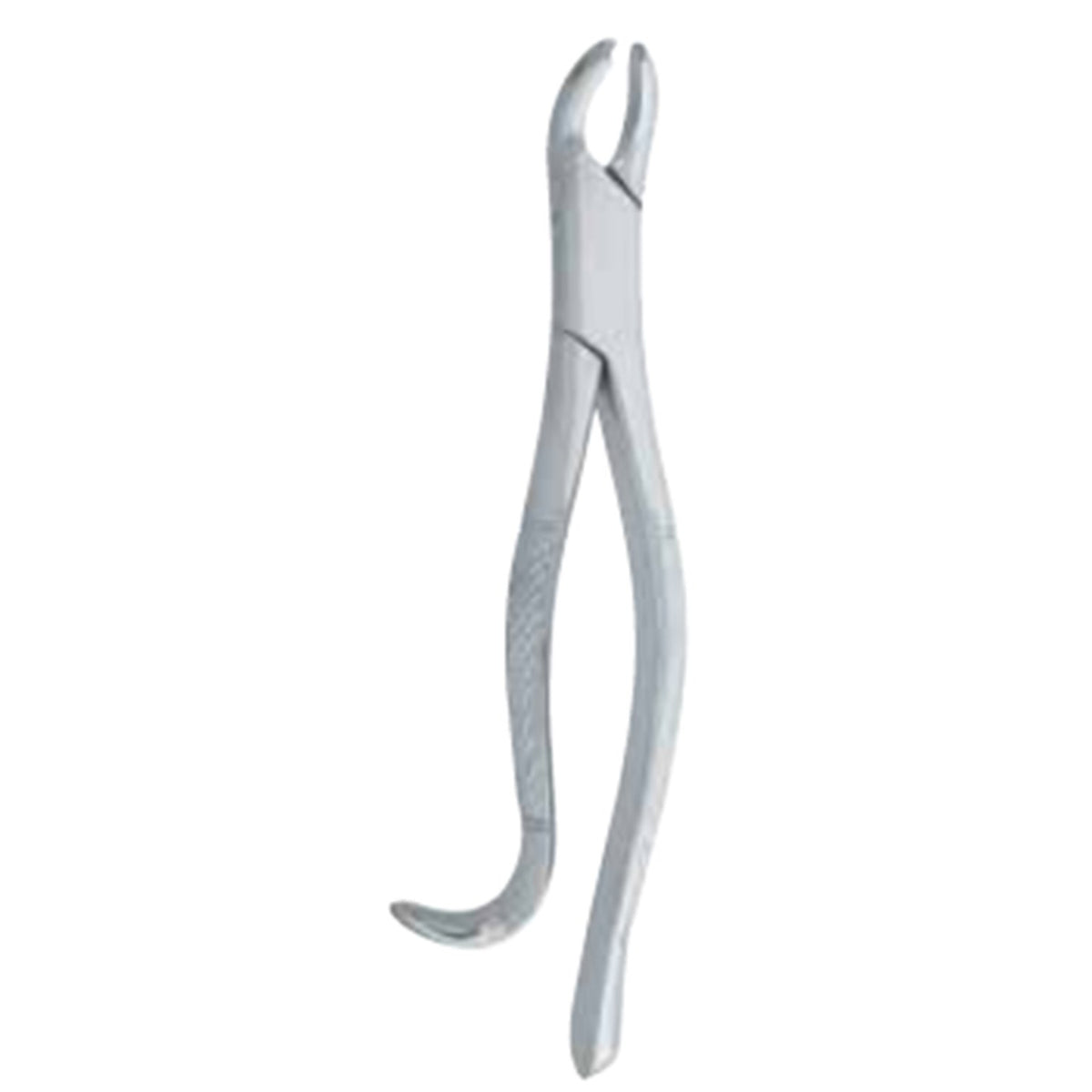 Extracting Forceps Orthodontic with 13.5cm Dental Extraction Pattern