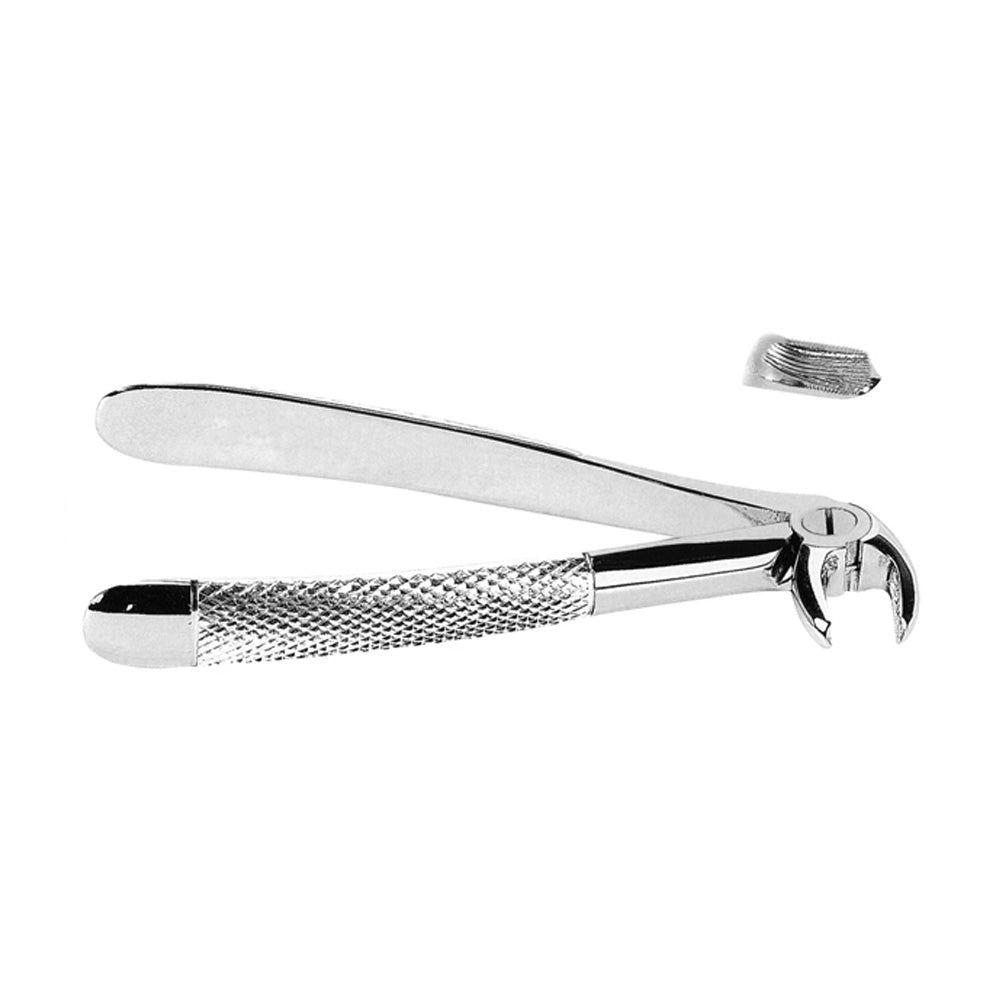 Extracting Forceps Lower Molars Right With Serrated Tips