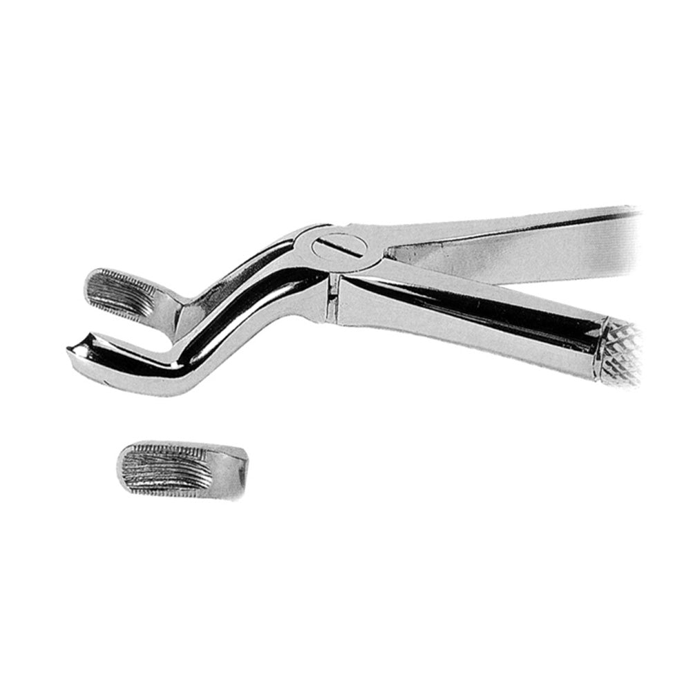 Upper Third Molar Extraction Forceps Right – Serrated Tips