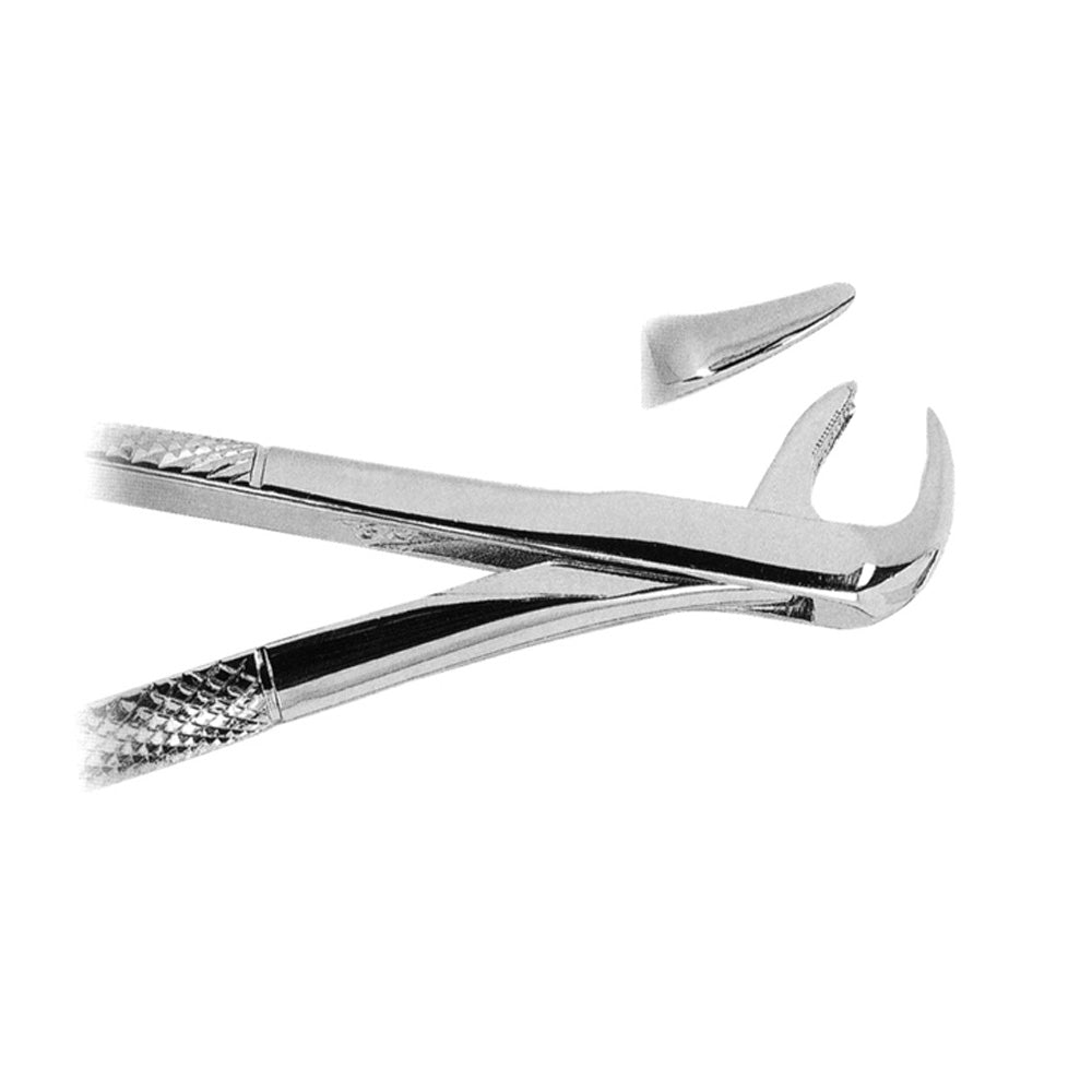 Upper Molars With Broken Crowns With Serrated Tips