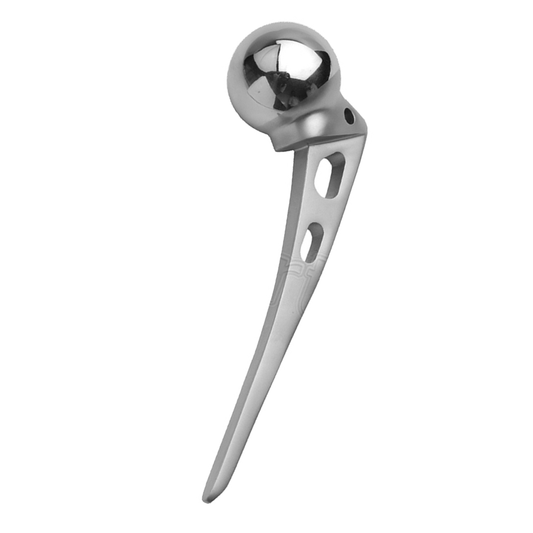 Austin Moore Hip Prosthesis Excel Stainless Steel