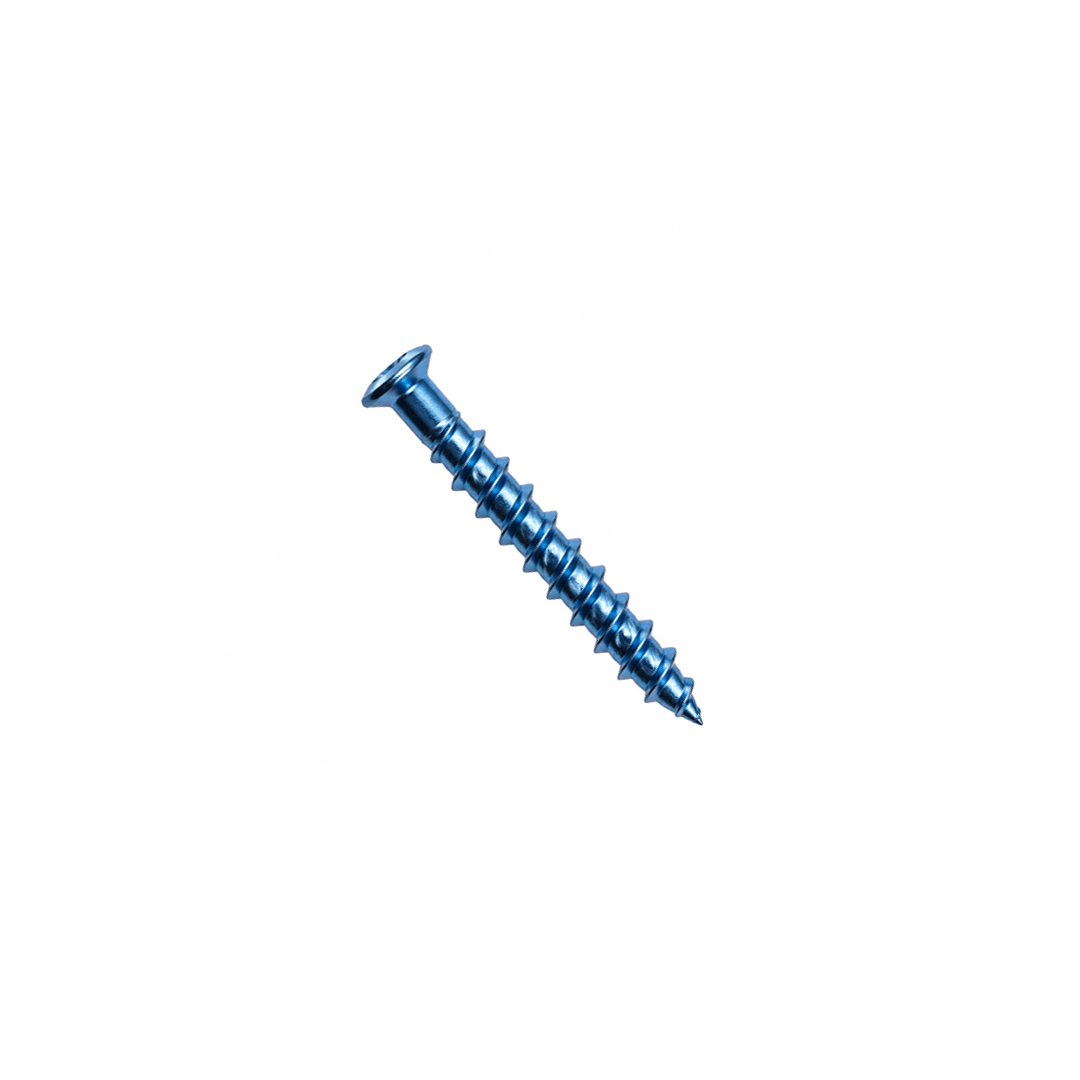 로우 프로파일 캔슬러스 나사 4.0mm 티타늄