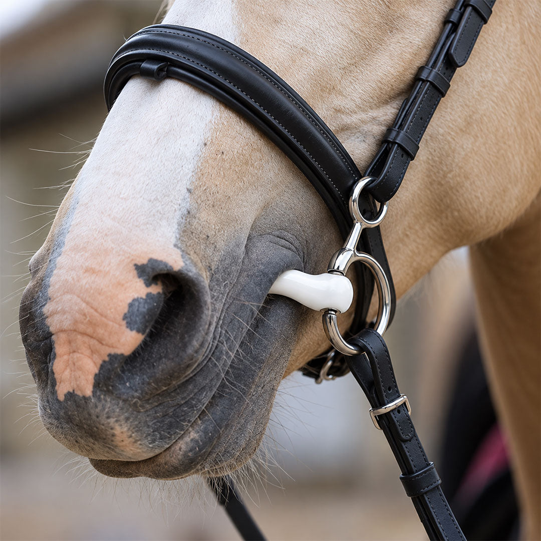 Medium Port Hanging Cheek Horse Bit