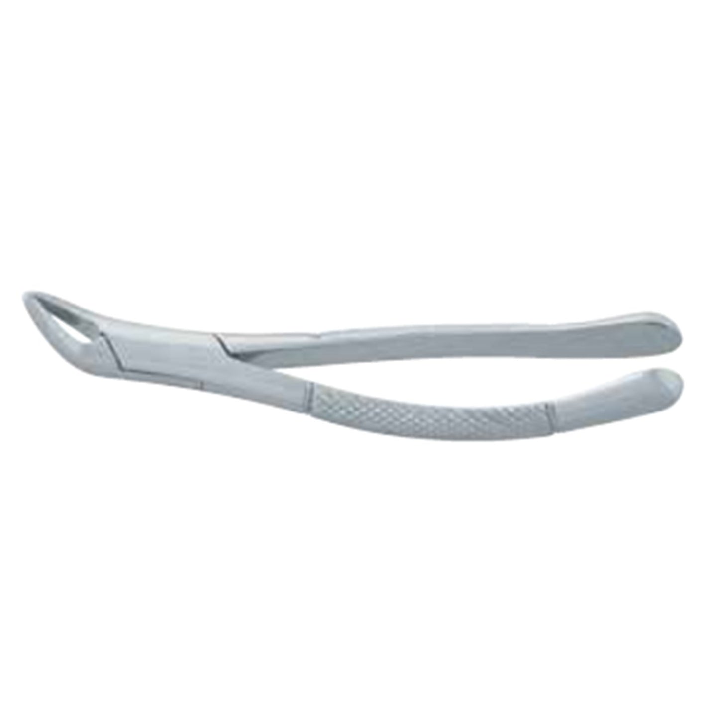 Dentist Extracting Forceps