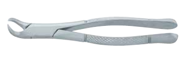 Tooth Root Forceps