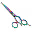 Professional Haircut Scissors