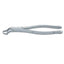 Lower Third Molar Forceps