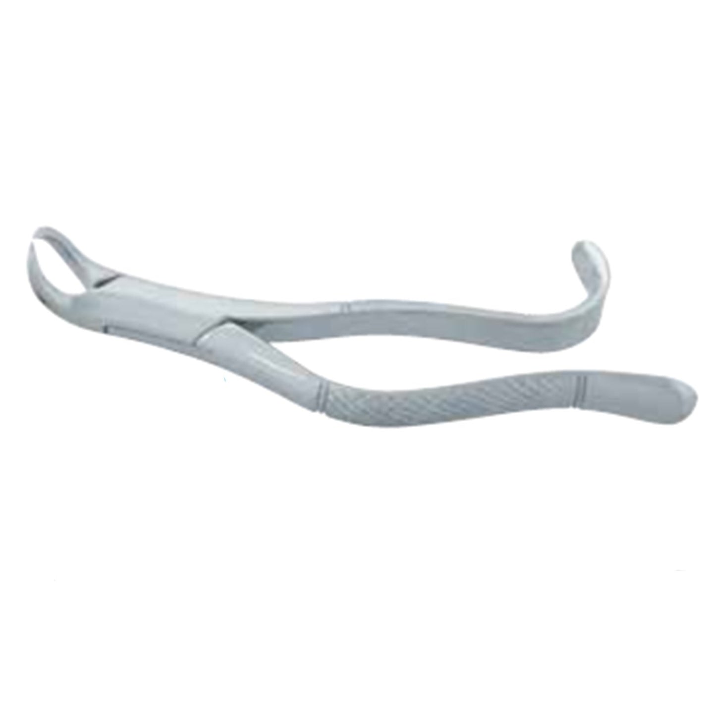 Maxillary Molar Forceps