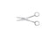 Dissecting Scissor for Post Mortem