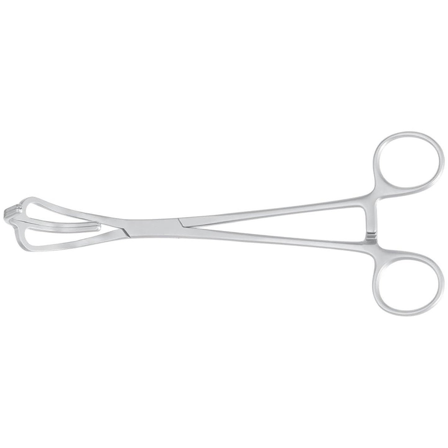 Lemole-strong Aorta Clamps