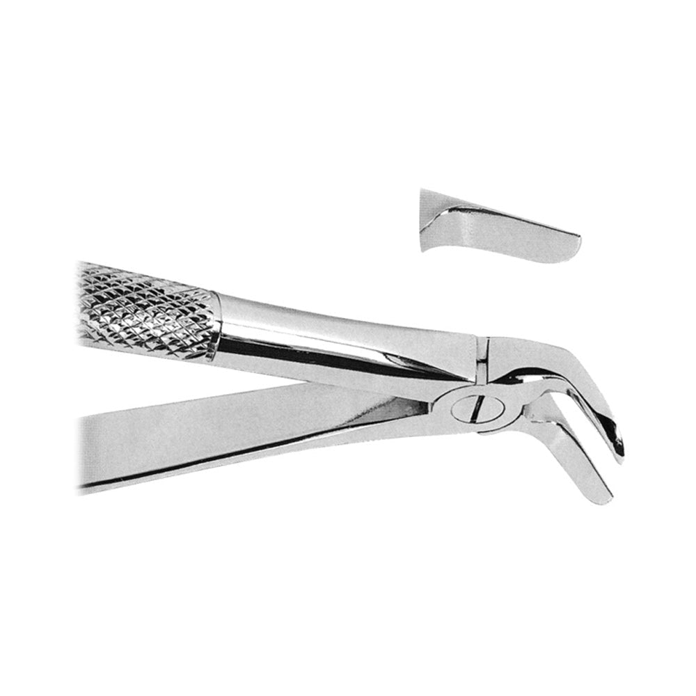 Extracting Forceps For Separating Lower Molars With Serrated Tips