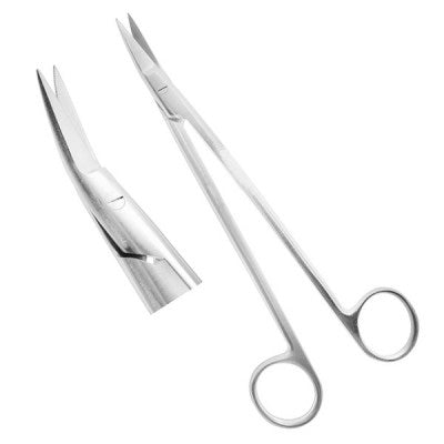 Dental Surgical Scissors