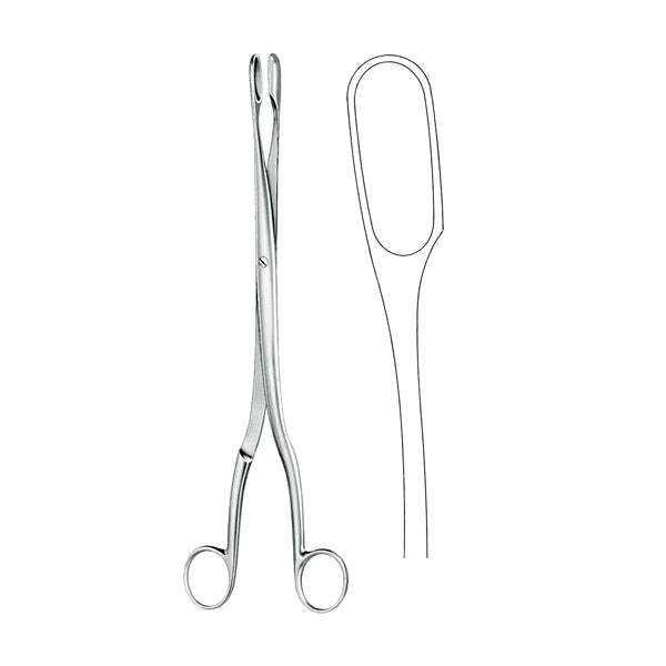 Ovum Forceps