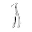 Extracting Forceps Lower Roots With Serrated Tips Anatomically Shaped Handle