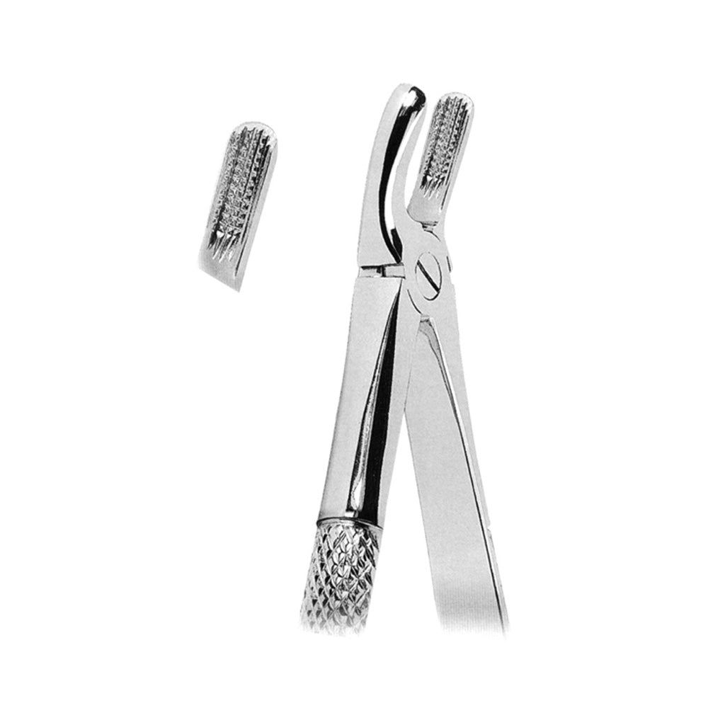 Mead Pattern Upper Molars With Serrated Tips Mead Pattern