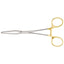 Fogarty Clamps