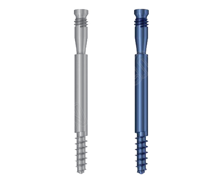 Anti-Rotation Screw For Femoral Neck System