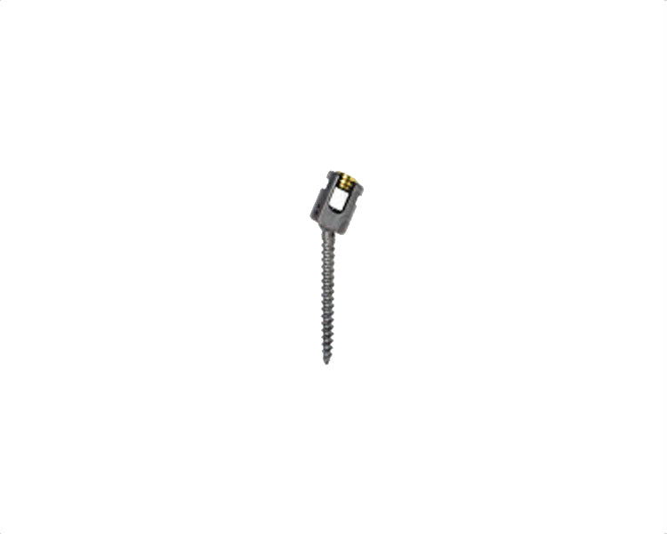 Polyaxial Pedicle Screw - Titanium