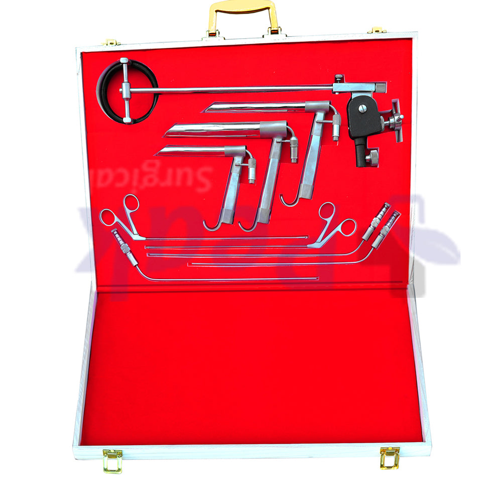 Micro Laryngeal Surgery Set