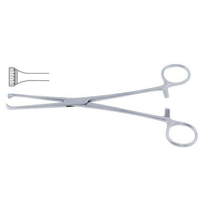 Allis Tissue Forceps