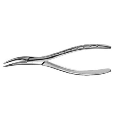 American Pattern Forceps Roots