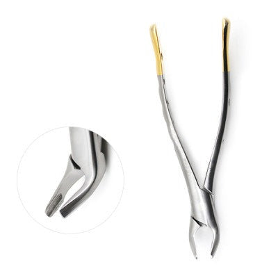 American Pattern Forceps Apical