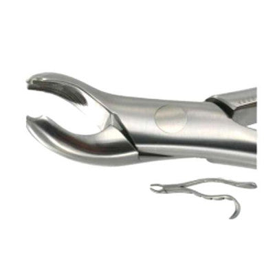 American Pattern Forceps Upper Molars