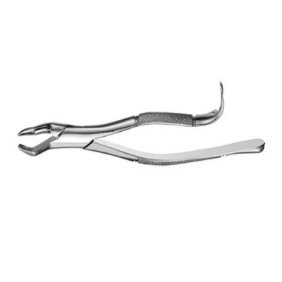 American Pattern Forceps Wisdom