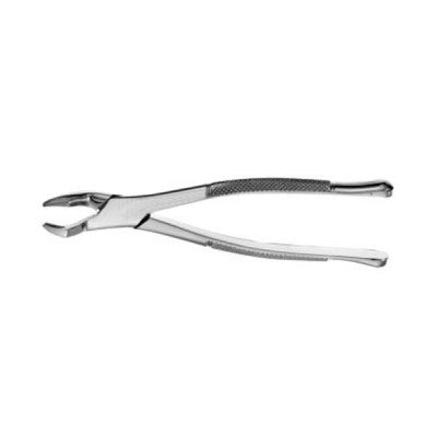 American Pattern Forceps Wisdom