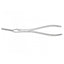 Asch Septum Forceps