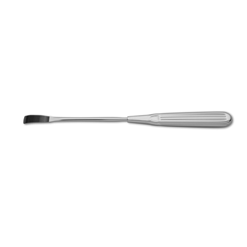 Aufricht Nasal Rasp Curved