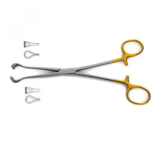 Babcock Tissue Forceps