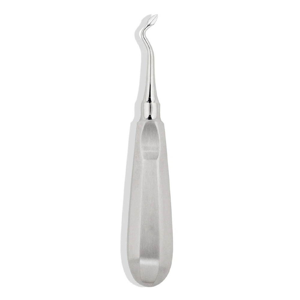 Bernard Root Tip Elevator Right