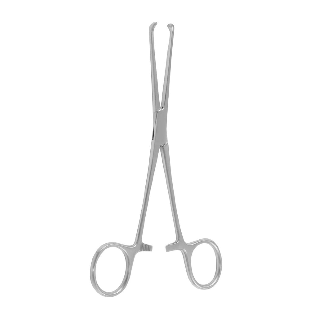 Boys-allis Tissue Holding Forceps