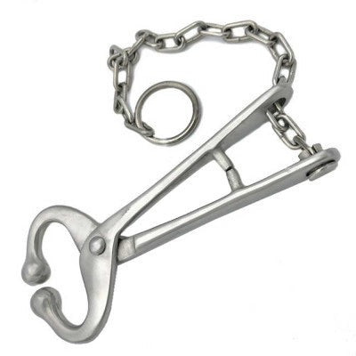 Bull Lead with Chain no Hooks