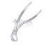 Collin Rib Shear