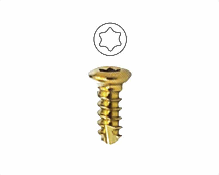 Cortex Screw Ø2.0MM (Star Head) Self Tapping Titanium