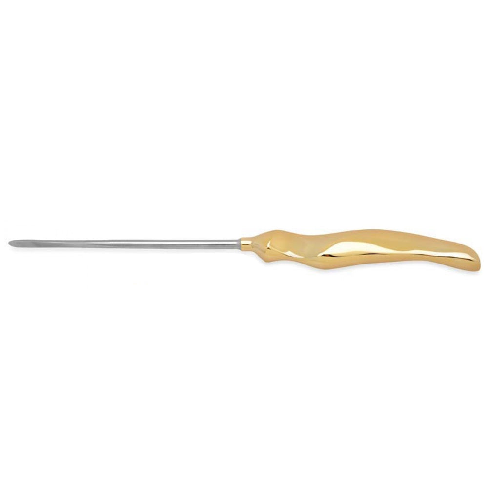 Daniel Endoscopic Forehead Scalp Straight Elevator