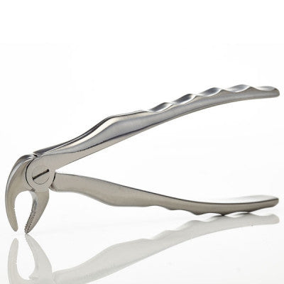 Dental Extraction Forceps