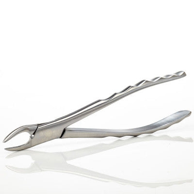 Dental Extraction Forceps