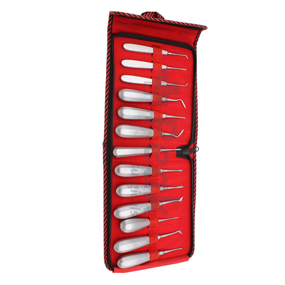 Dental Tooth Elevator Set