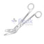 Eccentric Plaster Shear
