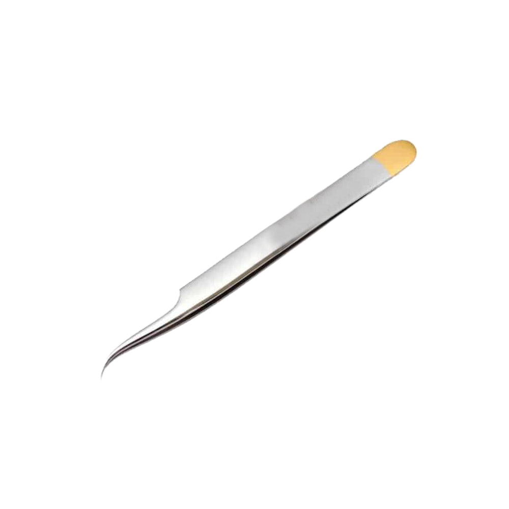 Extracting Forceps Curved