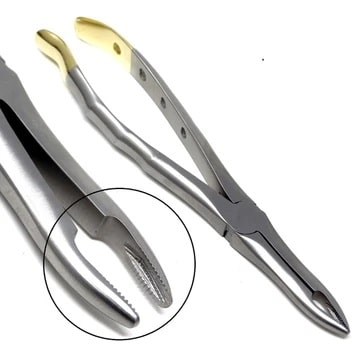 Gold Handle Extracting Forceps