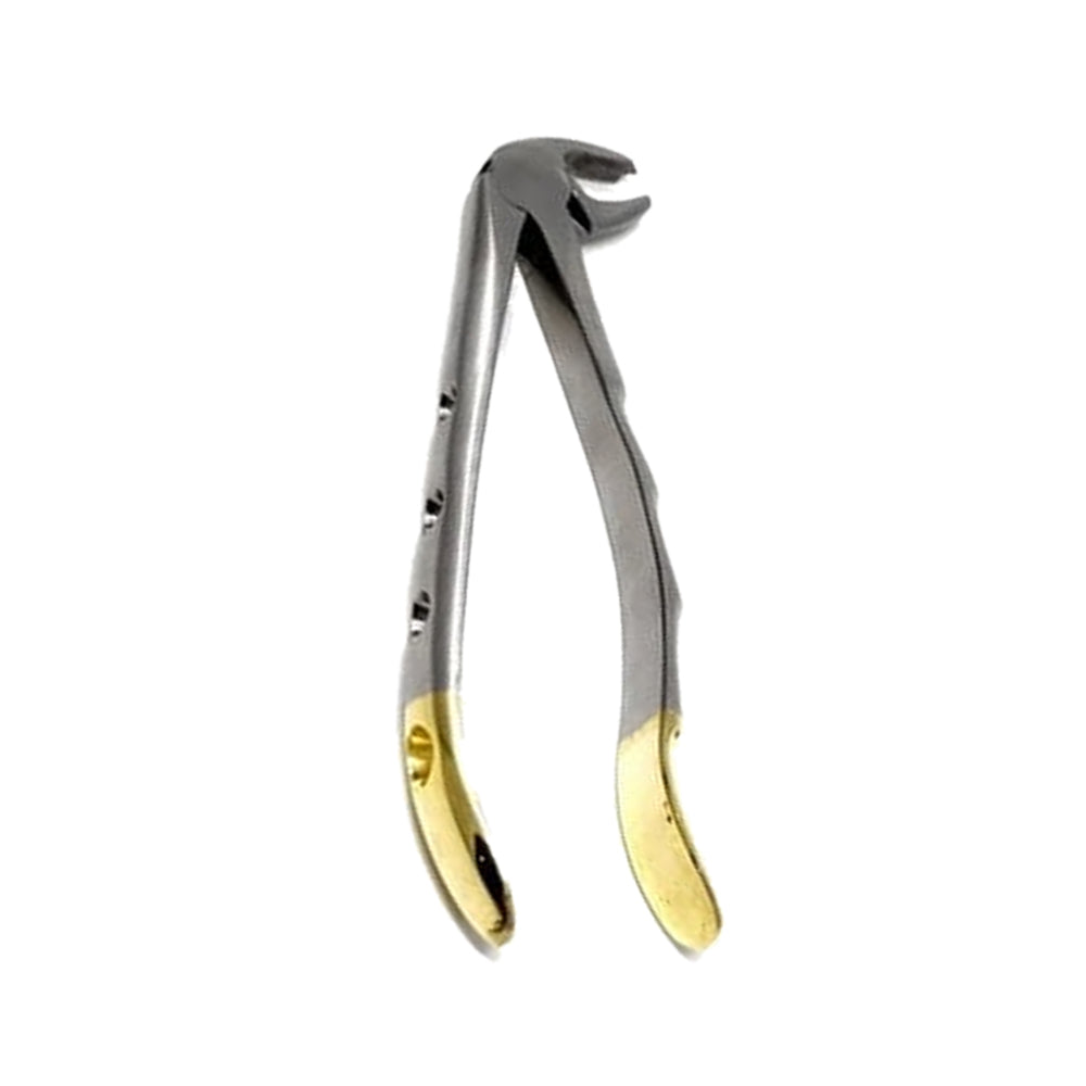 Gold Handle Molar Forceps