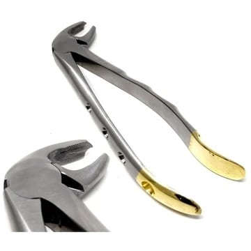 Gold Handle Molar Forceps