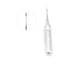 Feline Luxating Root Elevator 3pcs