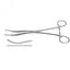 Kocher Clamp Forceps